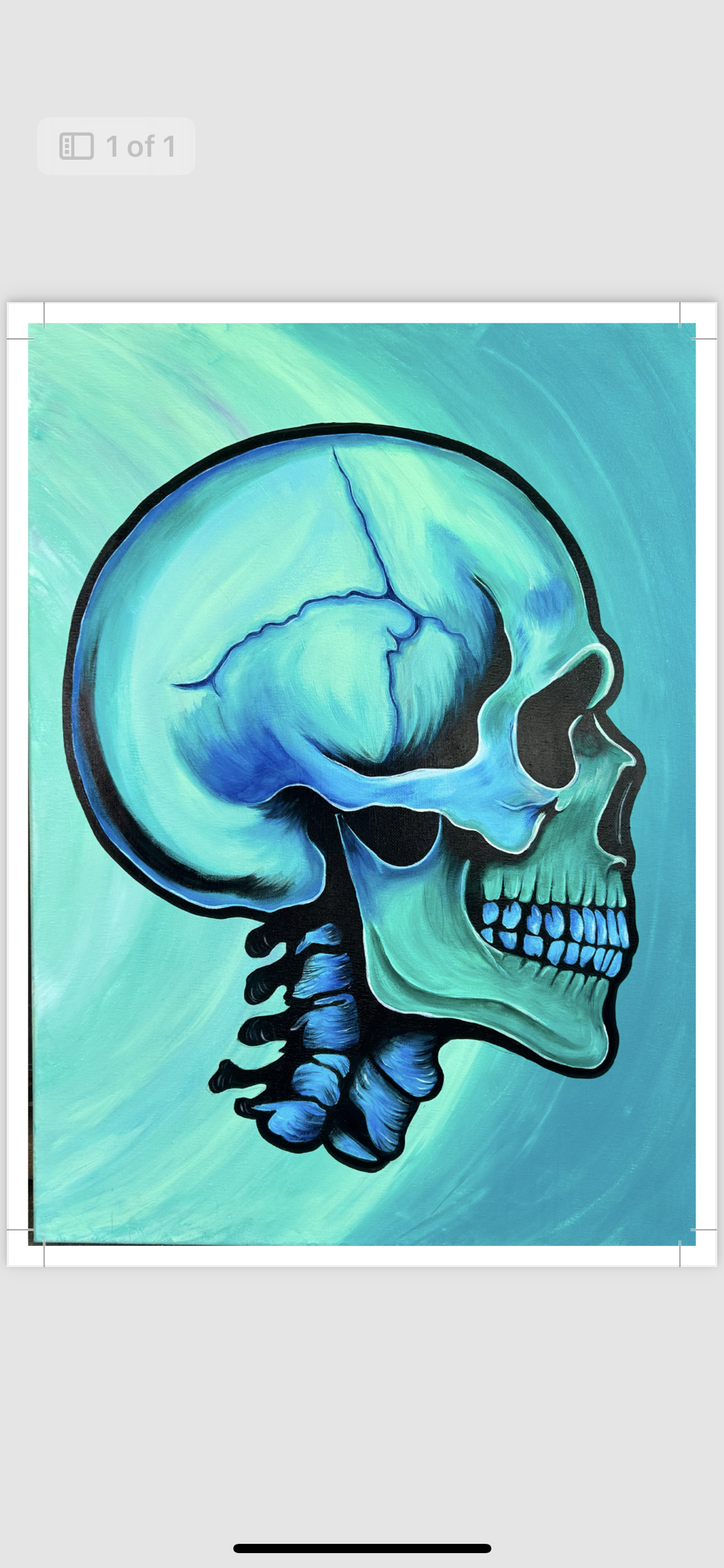 Green and blue skull permit